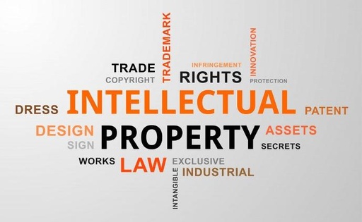 Intellectual Property Protection